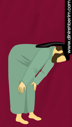 Namaz Erkek Rüku