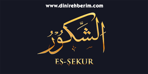 Eş-Şekur Anlamı, Zikir Sayısı, Fazileti ve Sırları