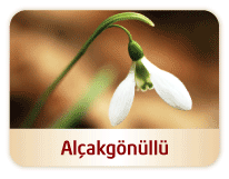 Peygamberimizin Alçakgönüllülüğü Peygamberimizin Alçakgönüllülüğü