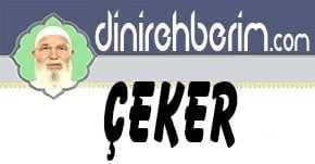 15 - Çeker