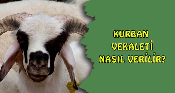 Kurban Vekaleti Nasıl Verilir? (Sözlü ve Yazılı)